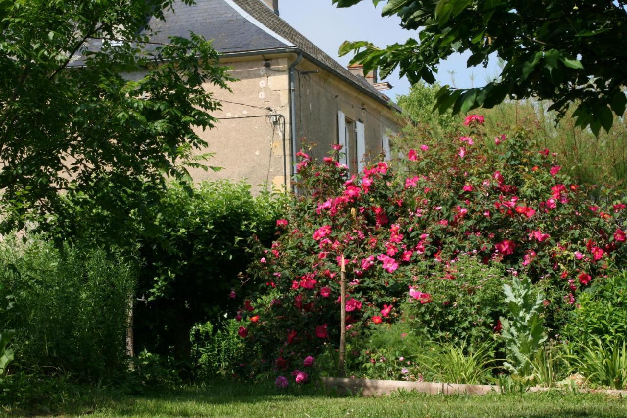 Chambres D'Hotes Du Jay La Guerche-sur-l'Aubois Buitenkant foto